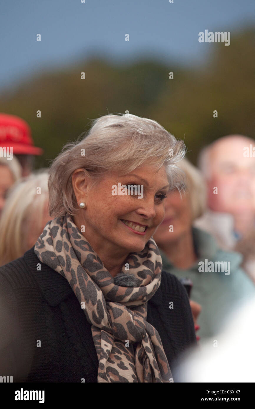 Tv presenter angela rippon hi-res stock photography and images - Alamy