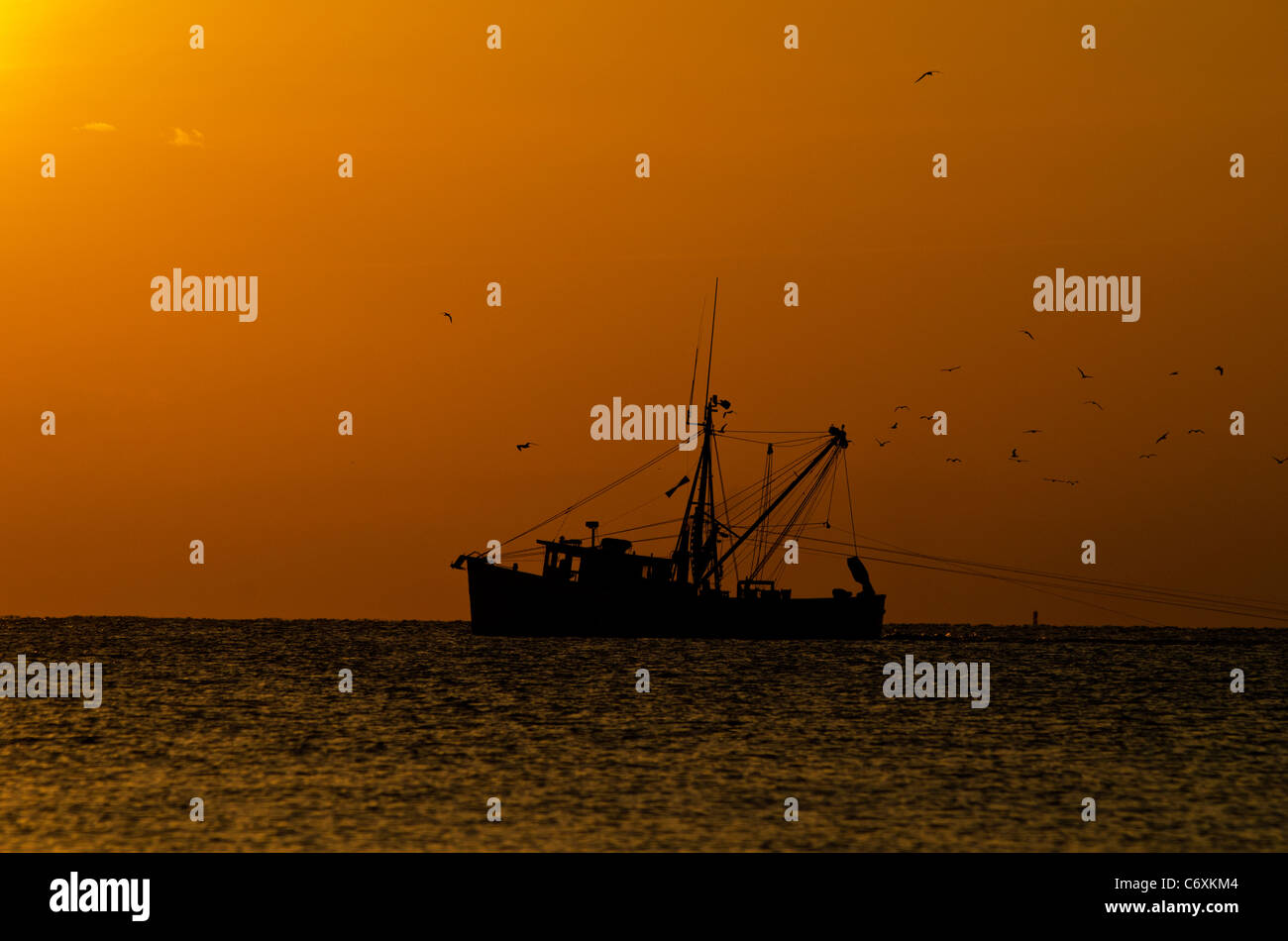 Shrimp boat trawling hi-res stock photography and images - Alamy