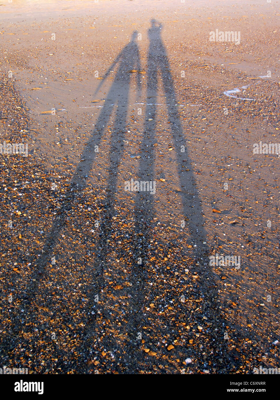 evening shadows on a beach showing long bodies and legs of two people Stock Photo
