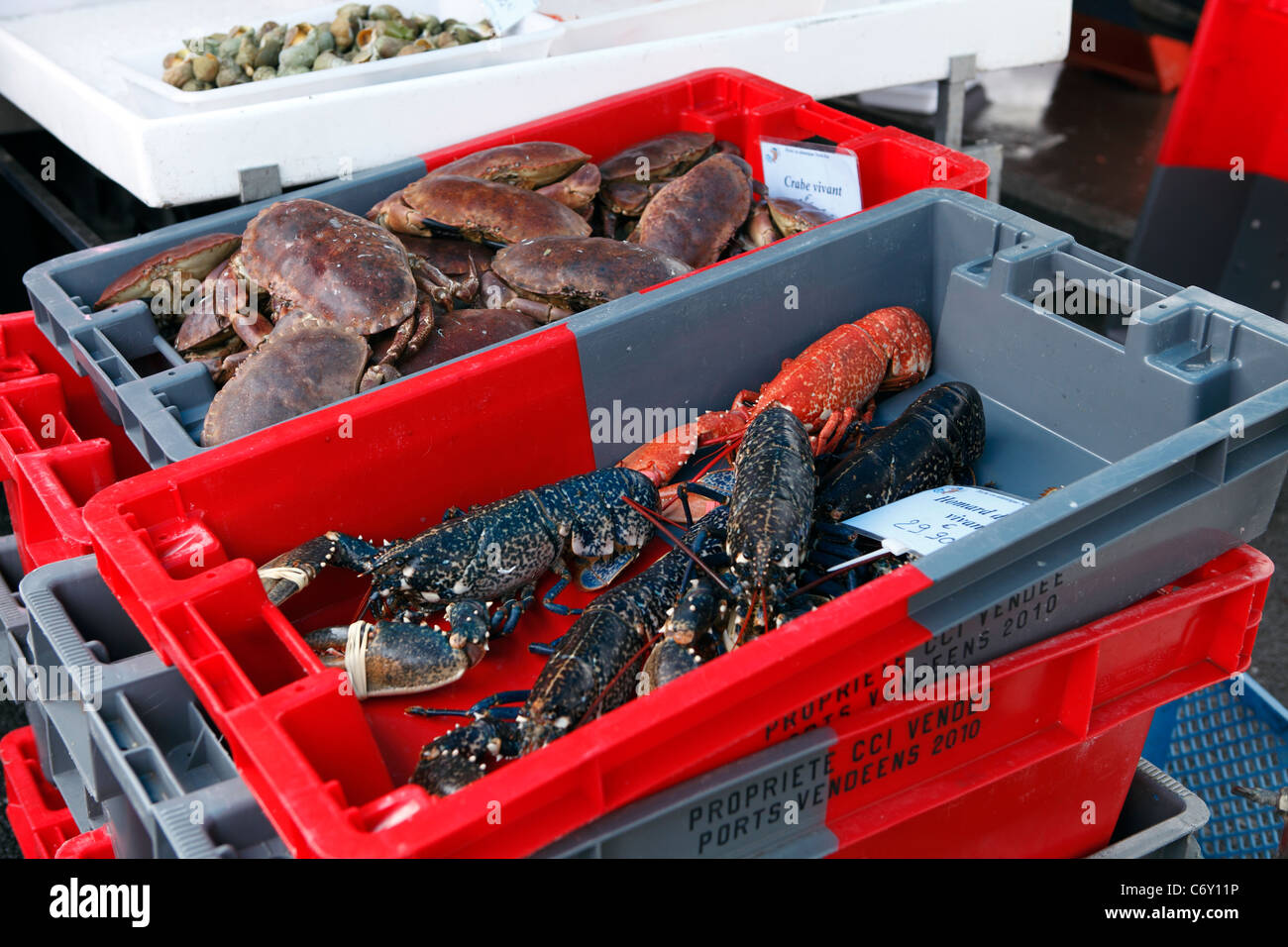 crab and Lobster for sale on a market stall in St Gilles Croix de vie