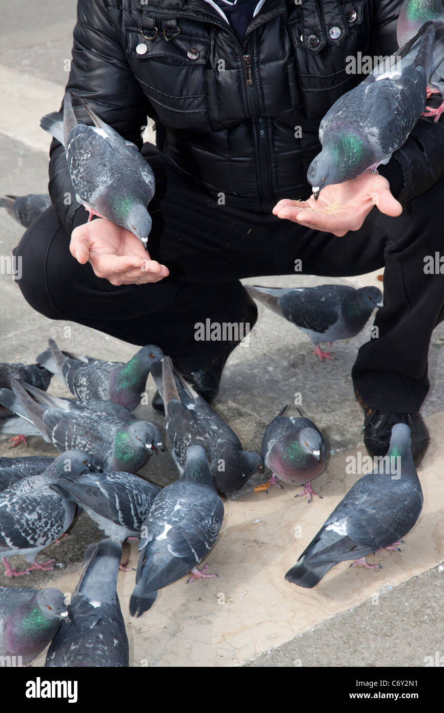 Feeding pigeons in St. Mark's Square in Venice Italy Stock Photo Alamy