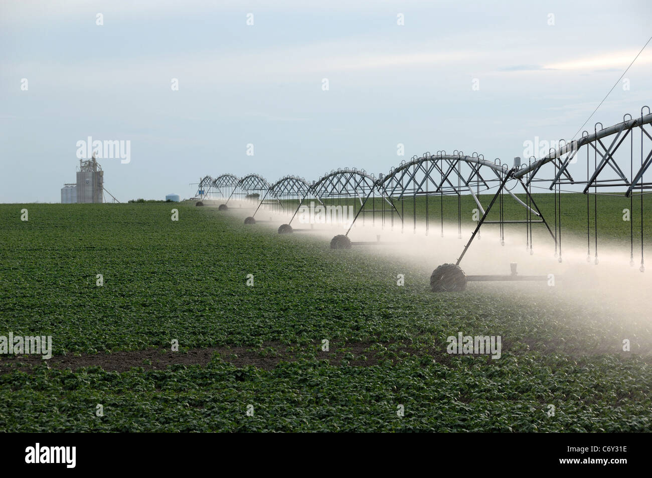 Commercial farm irrigation sprayer spraying crop with water. Grain elevator in background. Stock Photo