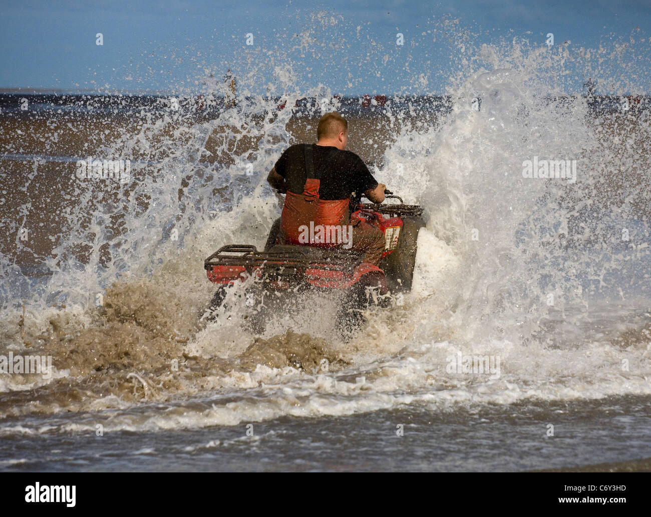 Harvesting Cocklers using ATV (ATVS)  “quad bikes” at the start of the Cockle Picking Season, Southport, Merseyside, UK Stock Photo