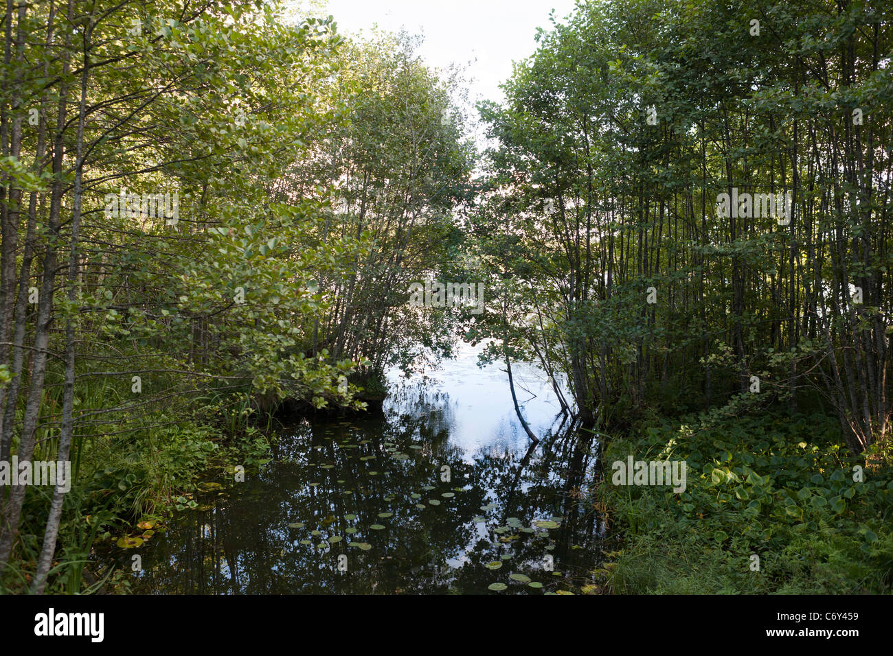 Kottlasjön, Lidingö (Sweden) Stock Photo