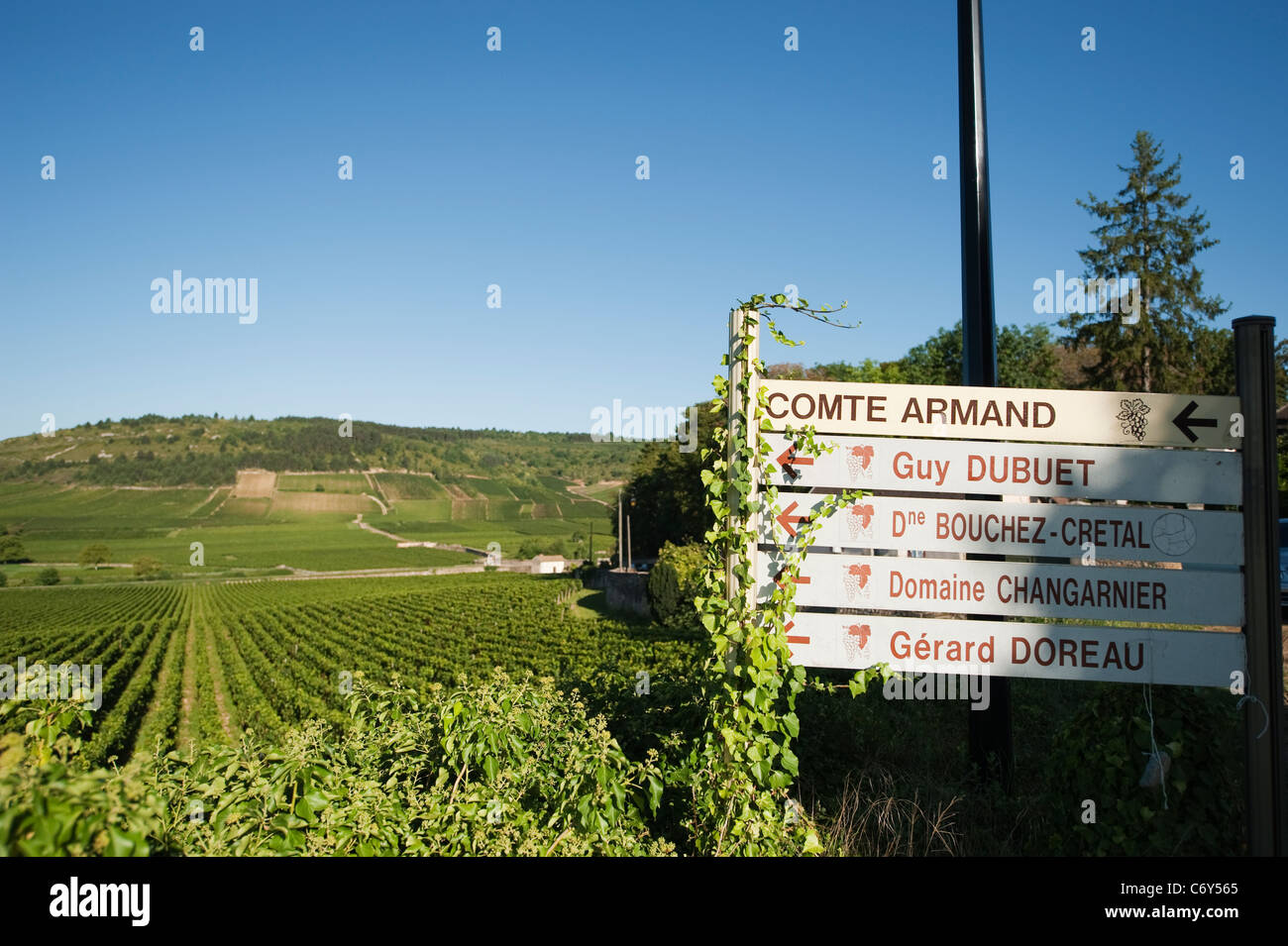 Signpost to Burgundy wine producers at the village of Meursault in Burgundy with vineyards covering the distant hillside. Stock Photo