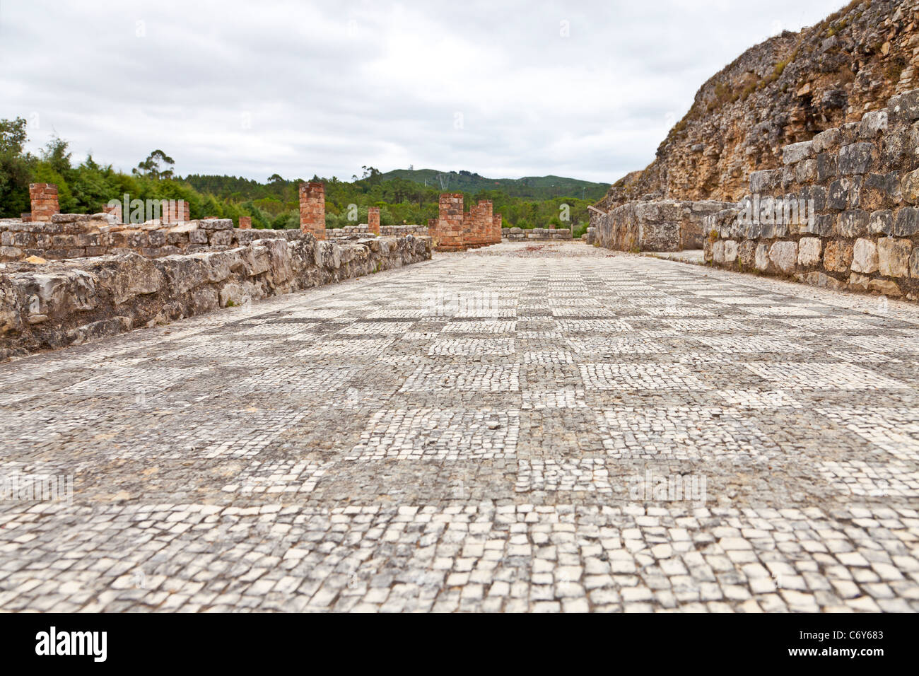 Mosaics in the House of the Swastika Villa in Conimbriga, the best preserved Roman city ruins in Portugal. Stock Photo