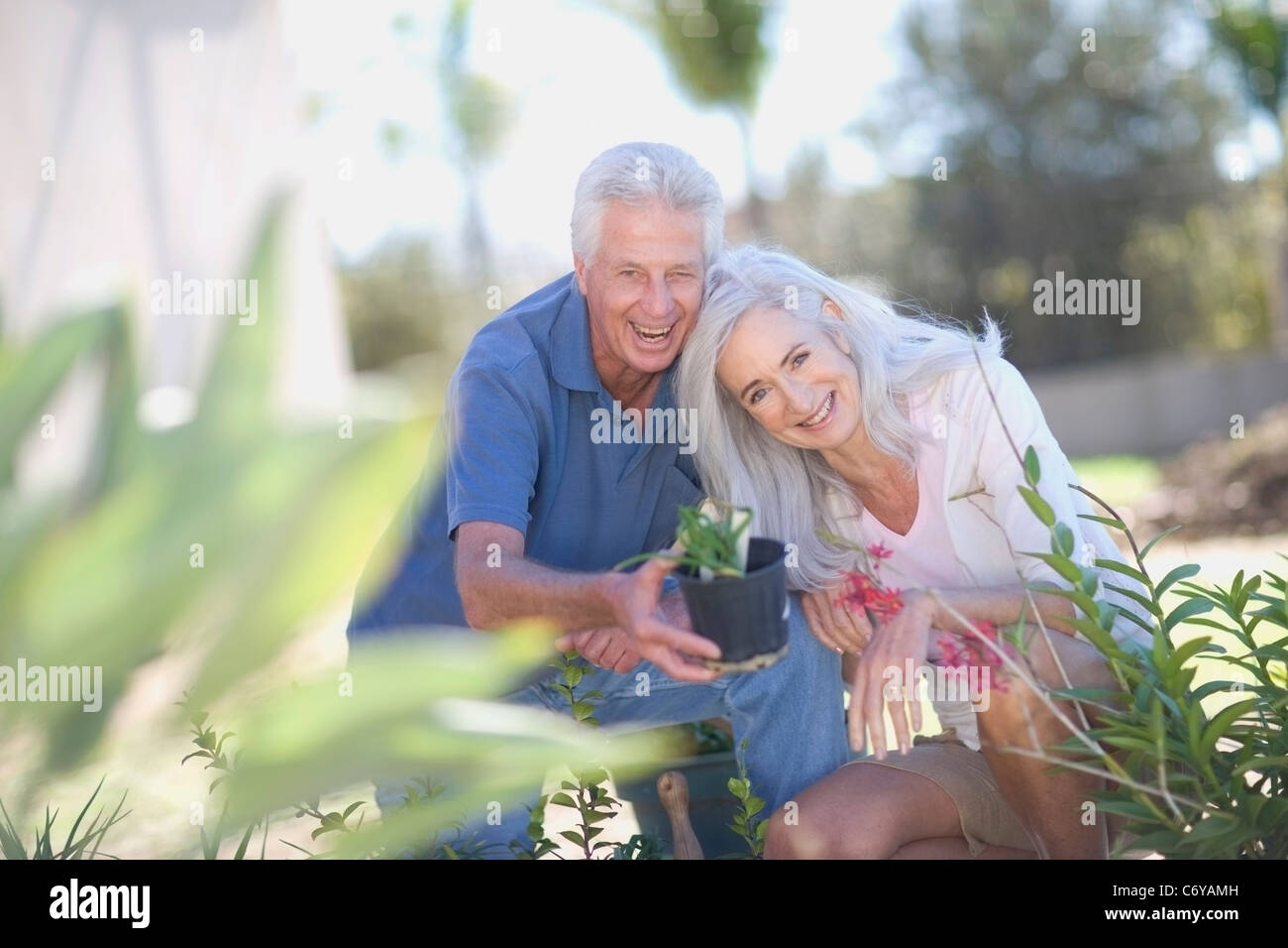 Older men gardening hi-res stock photography and images - Alamy