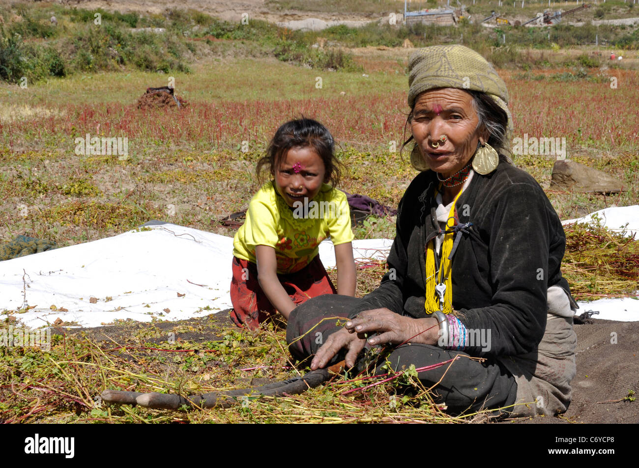 A Humla farmer crushing buckwheat with her daughter near Simikot Airport, Humla, Karnali Stock Photo