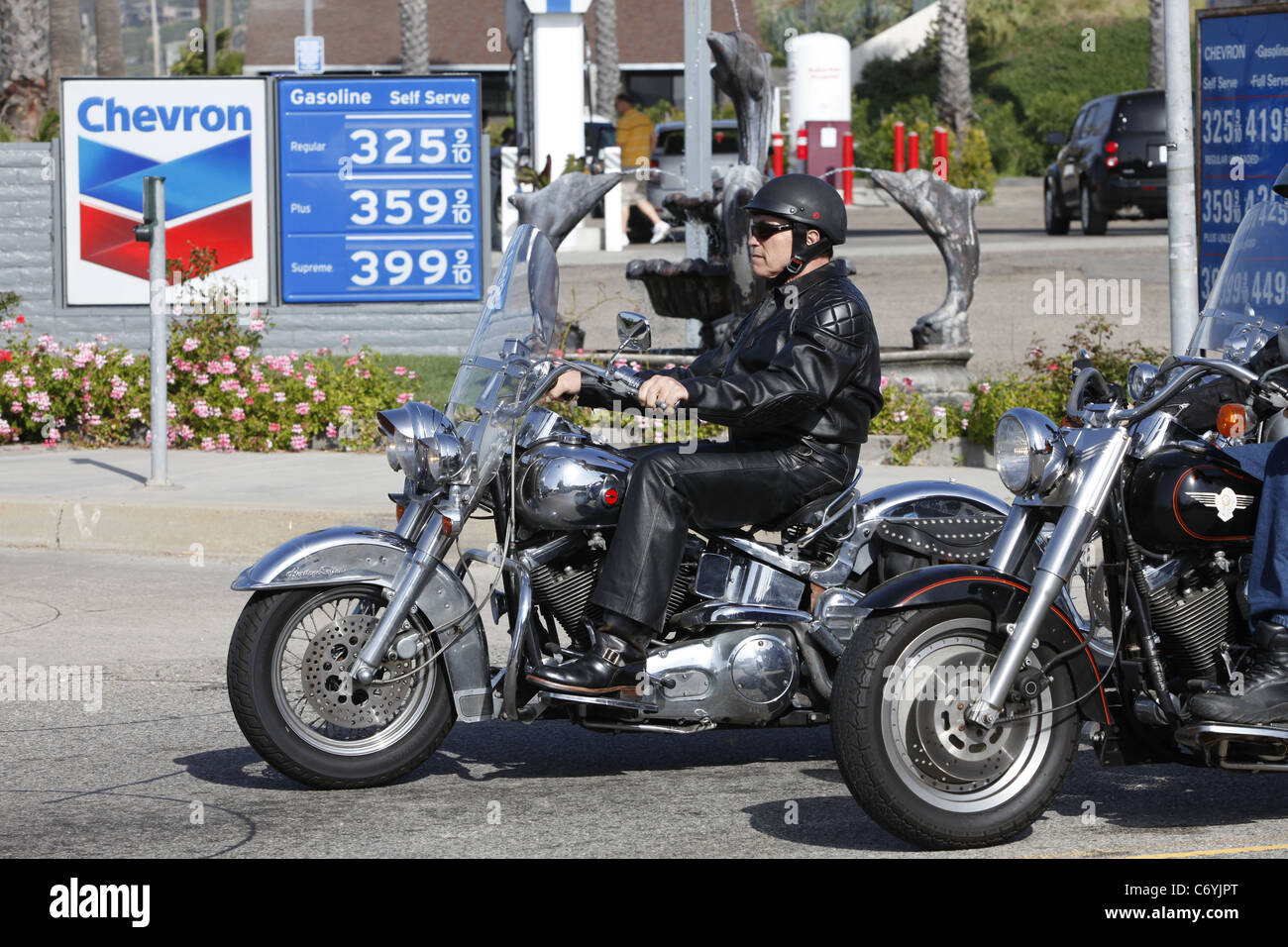 Arnold Schwarzenegger riding his cromed Harley Davidson to Malibu with  friends Los Angeles, USA - 20.03.10 Stock Photo - Alamy