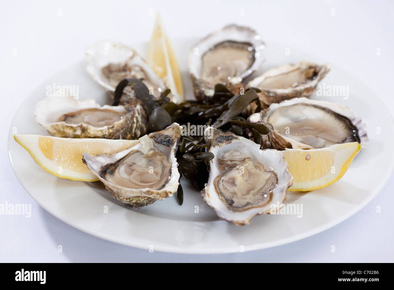 Close up of plate of oysters Stock Photo
