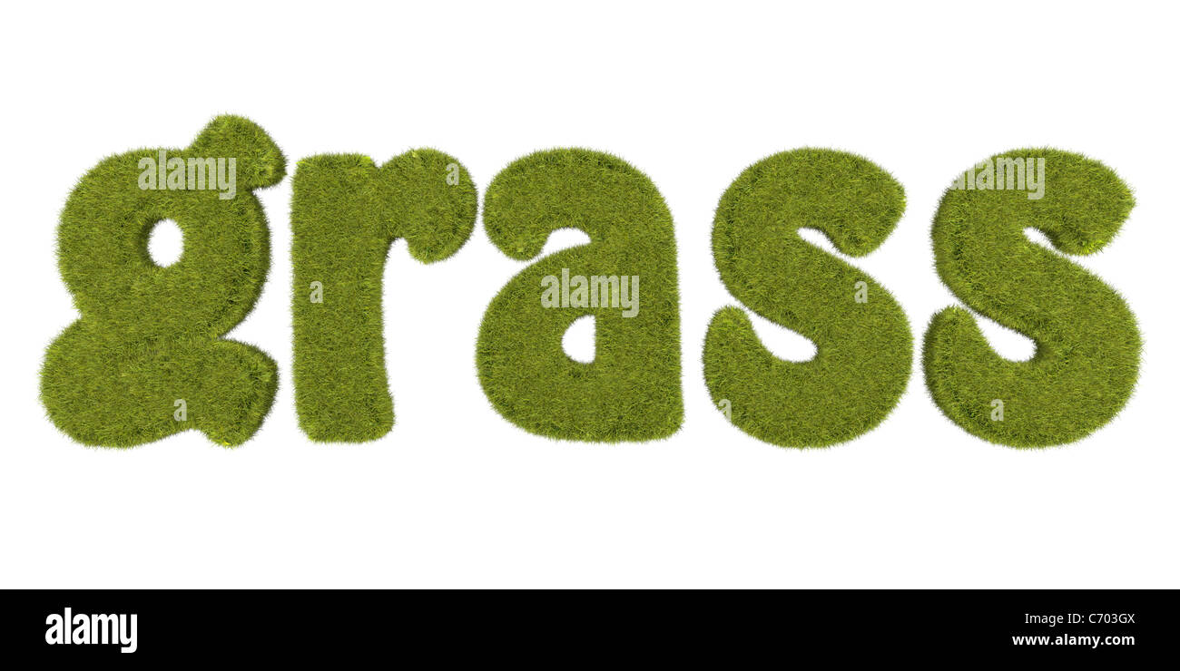 illustration of grassy word grass, isolated on white background Stock