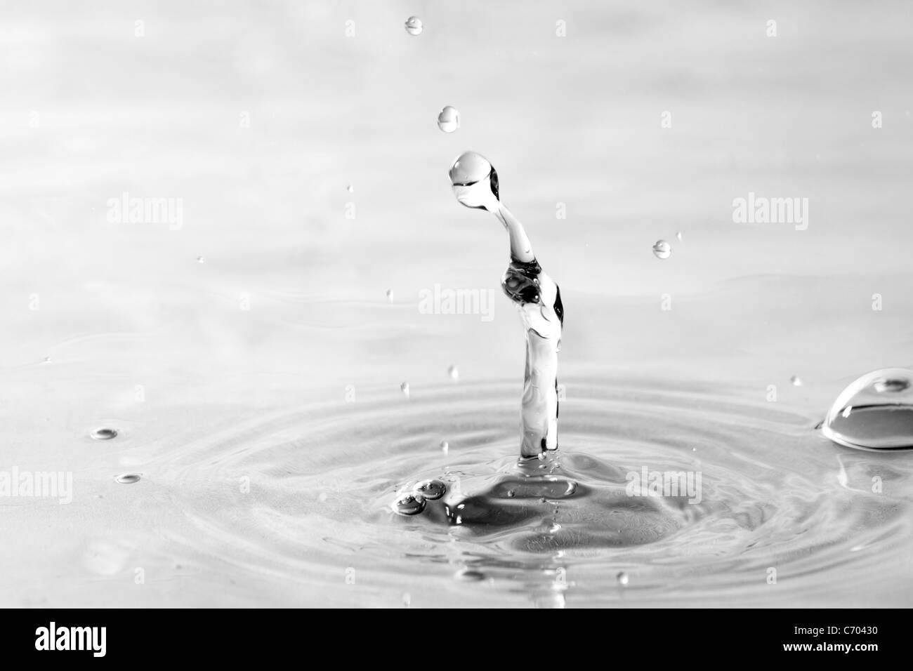A clear water droplet splash isolated over a white background. Shallow depth of field. Stock Photo