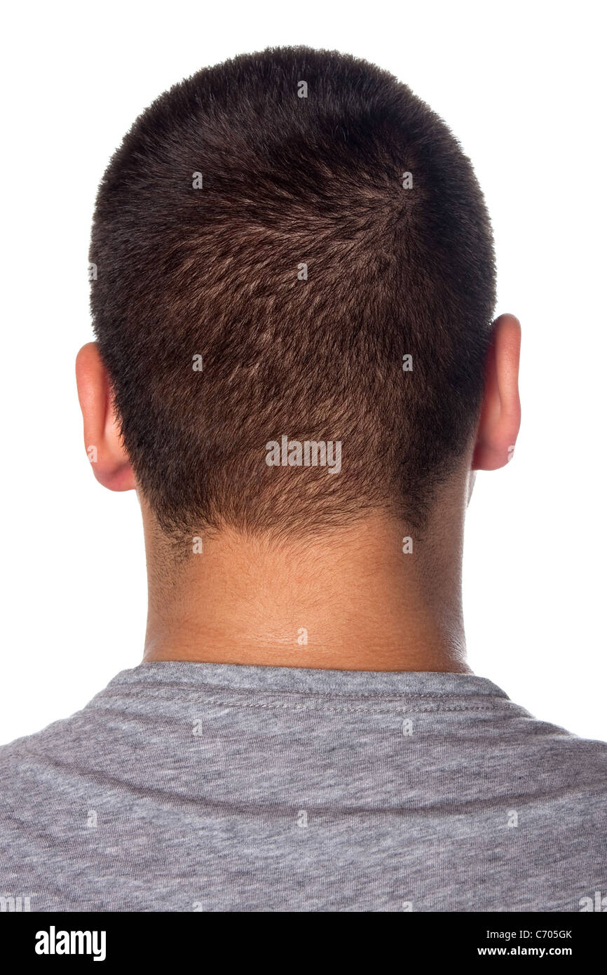 A closeup of the back of a young mans head and neck isolated over a white background. Stock Photo