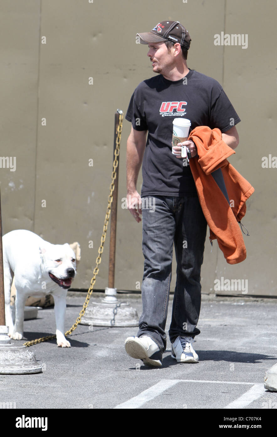 Can You Take Dogs Into Starbucks Uk