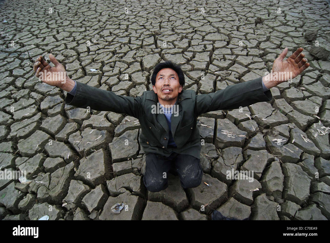 Китаец и земля. Чайные плантации в китае. Загрязнение почвы. Нюйва китайская мифология. Плантации чая в китае.