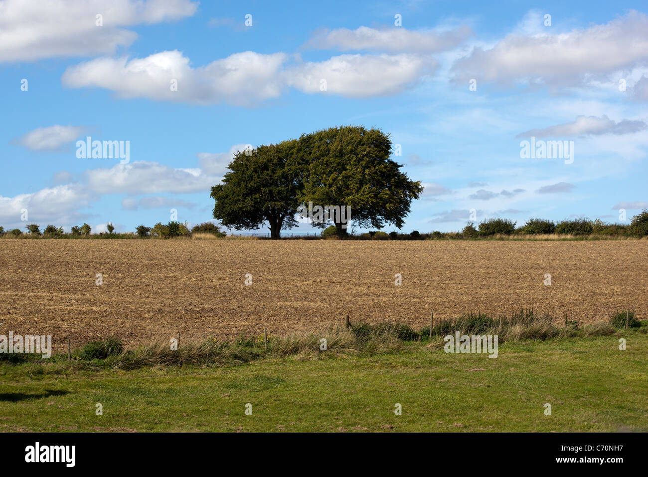 Countryside near East Kennett Stock Photo