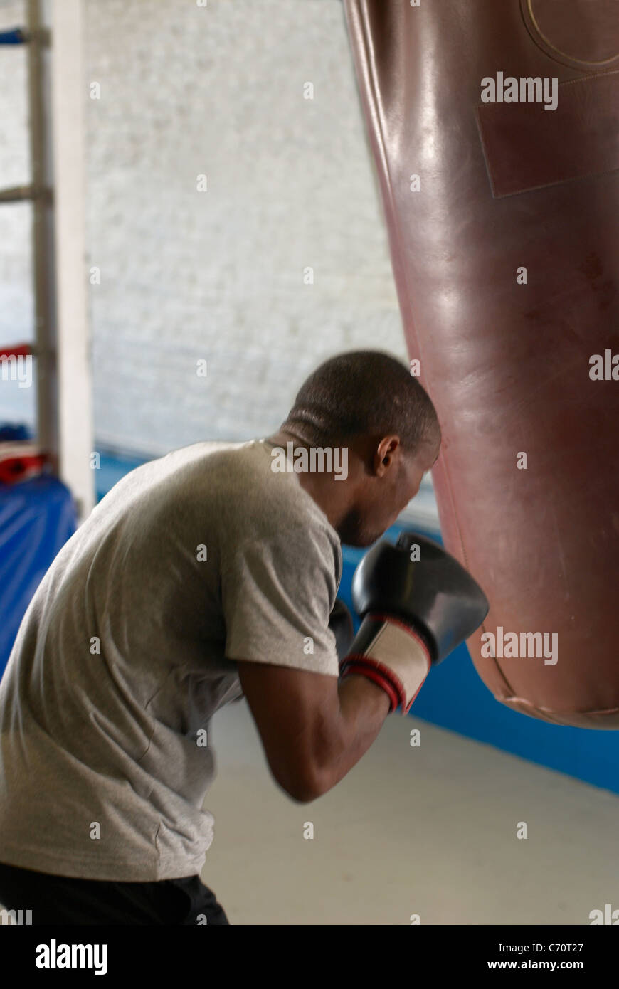 Boxer using punching bag in gym Stock Photo Alamy