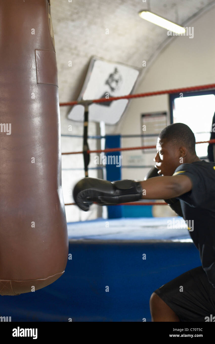 Boxer using punching bag in gym Stock Photo Alamy