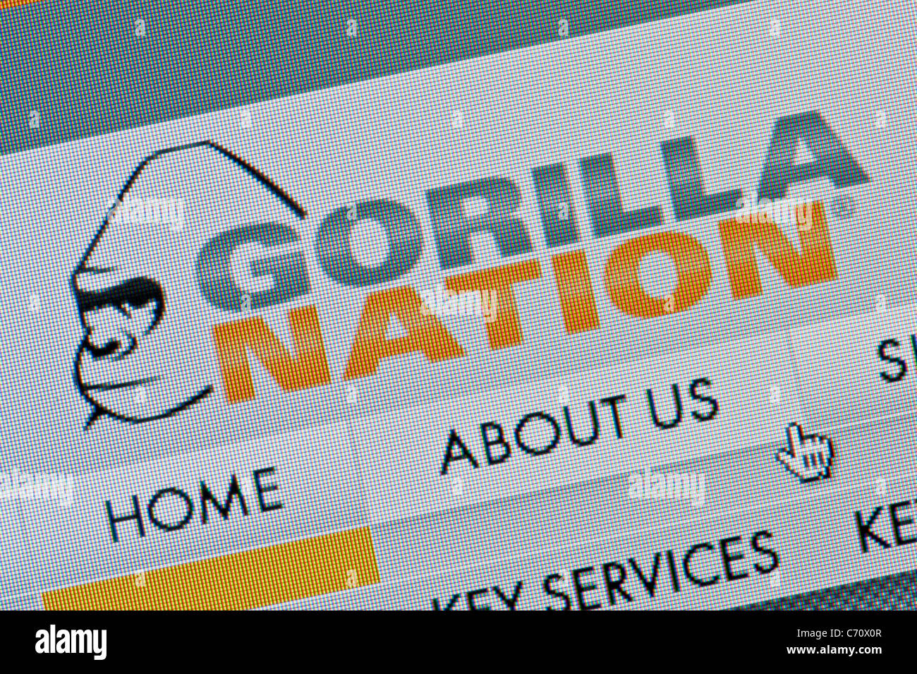 Close up of the Gorilla Nation logo as seen on its website. (Editorial use only: print, TV, e-book and editorial website). Stock Photo