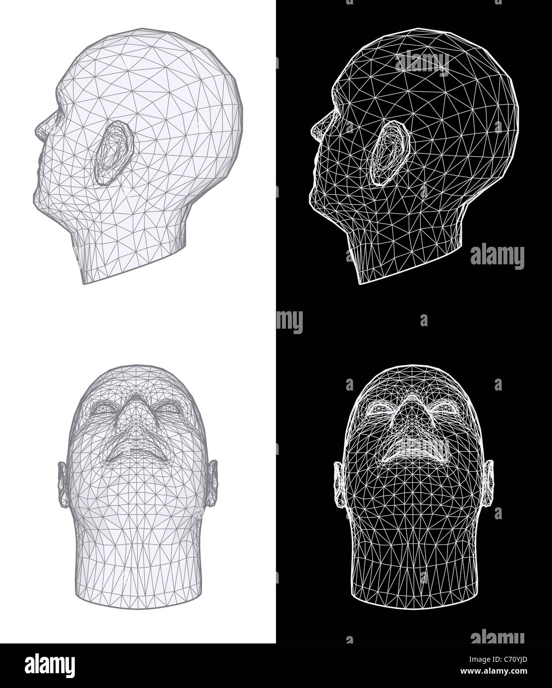 Human head 3D Illustration Stock Photo