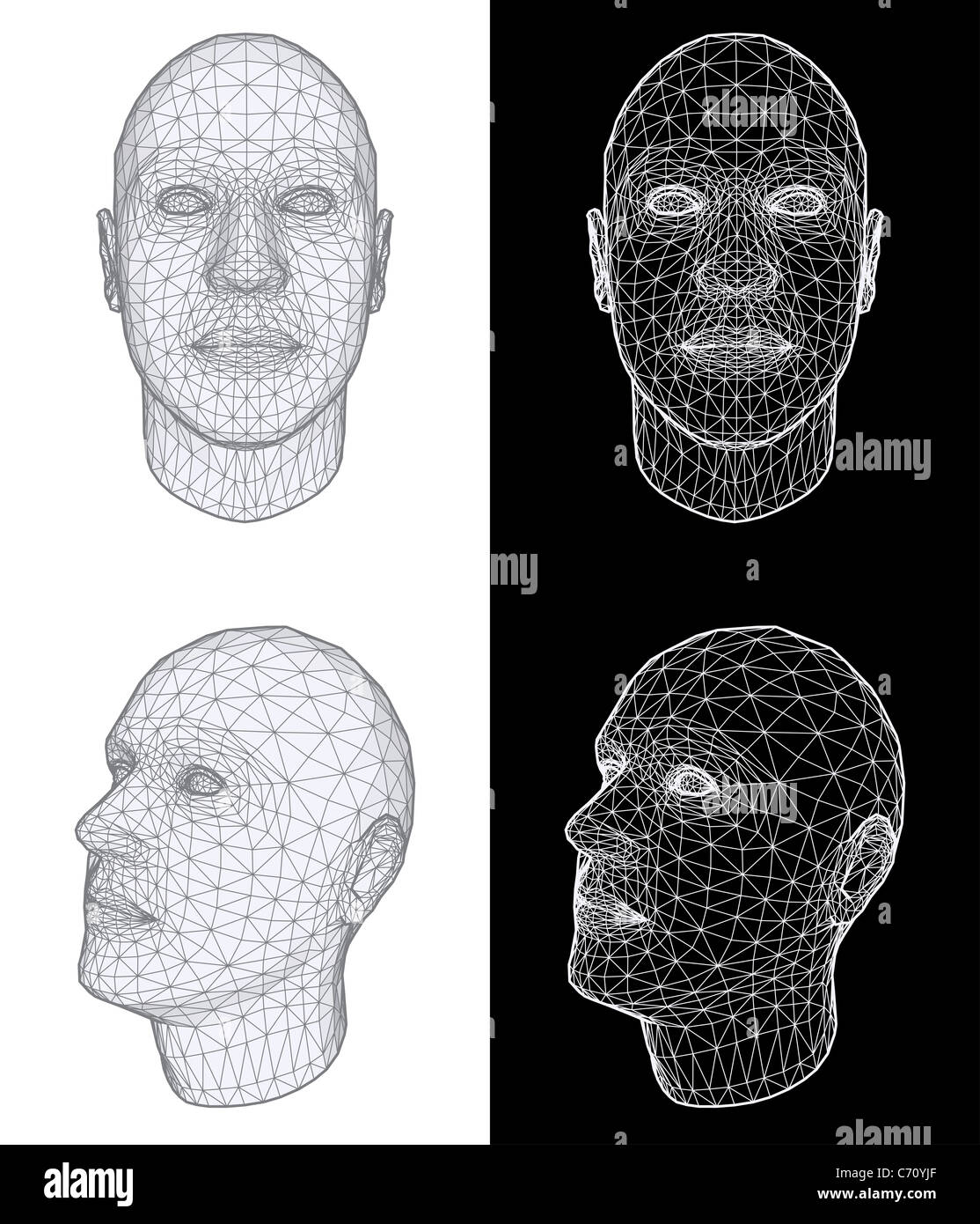 Human head 3D Illustration Stock Photo