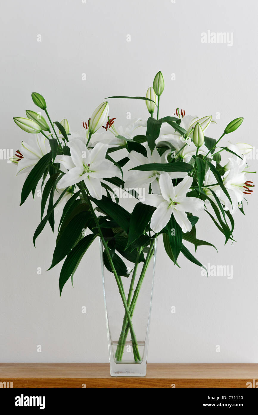 glass vase standing on wooden table with white lilies large glass vase standing on wooden table with white lilies against C