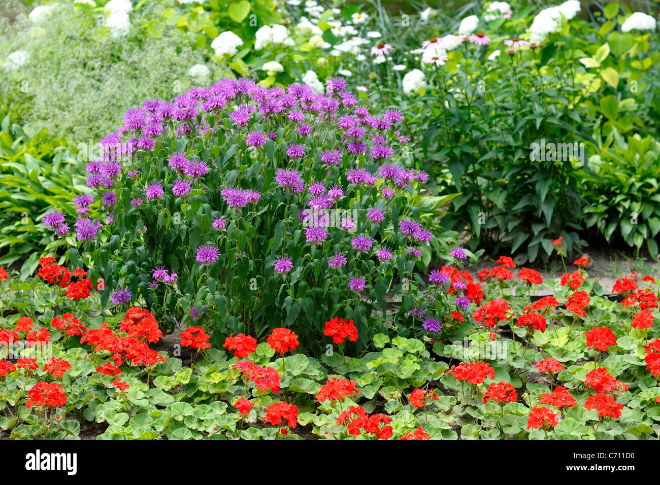 Summer flowerbed garden hi-res stock photography and images - Alamy
