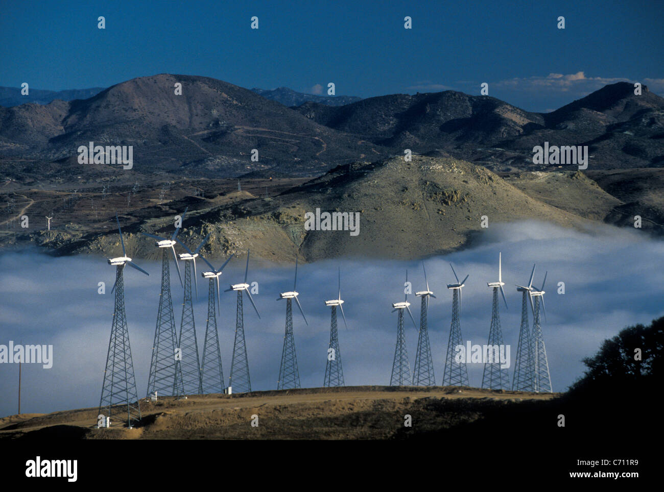 Windpower in Tehachapi in California, USA Stock Photo Alamy