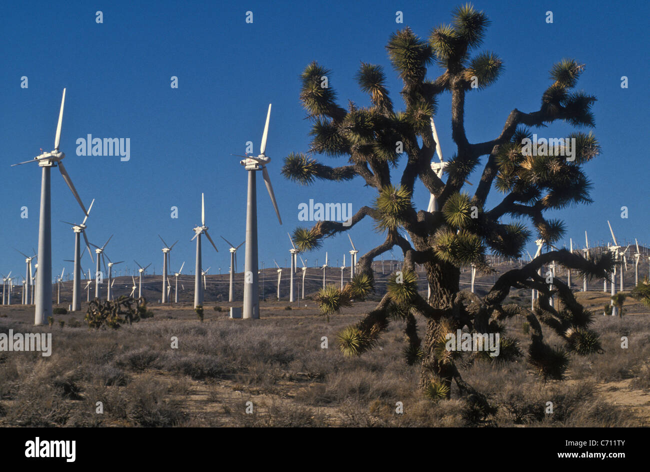 Windpower in Tehachapi in California, USA Stock Photo Alamy