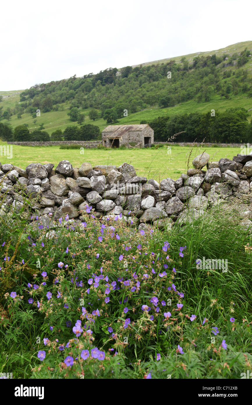 Wild flowers in front of a dry stone wall at Castleberg Barn, Arncliffe