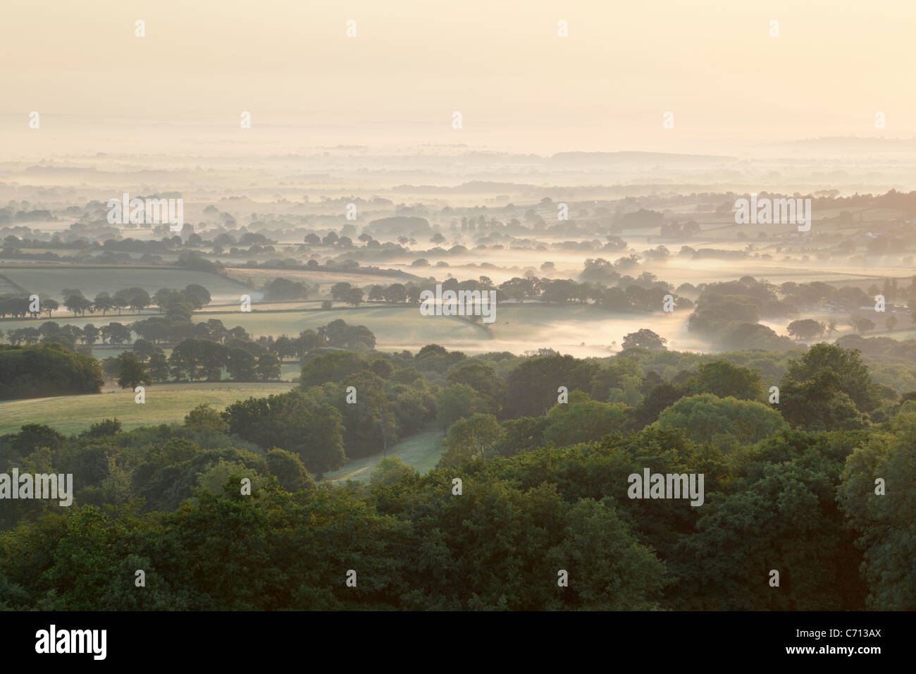 View from near Castle Neroche in The Blackdown Hills. Somerset. England. UK. Stock Photo