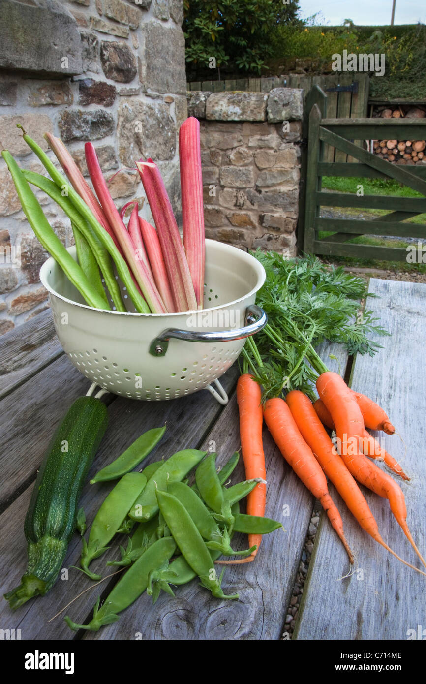 Organic vegetables grown on the allotment, UK Stock Photo