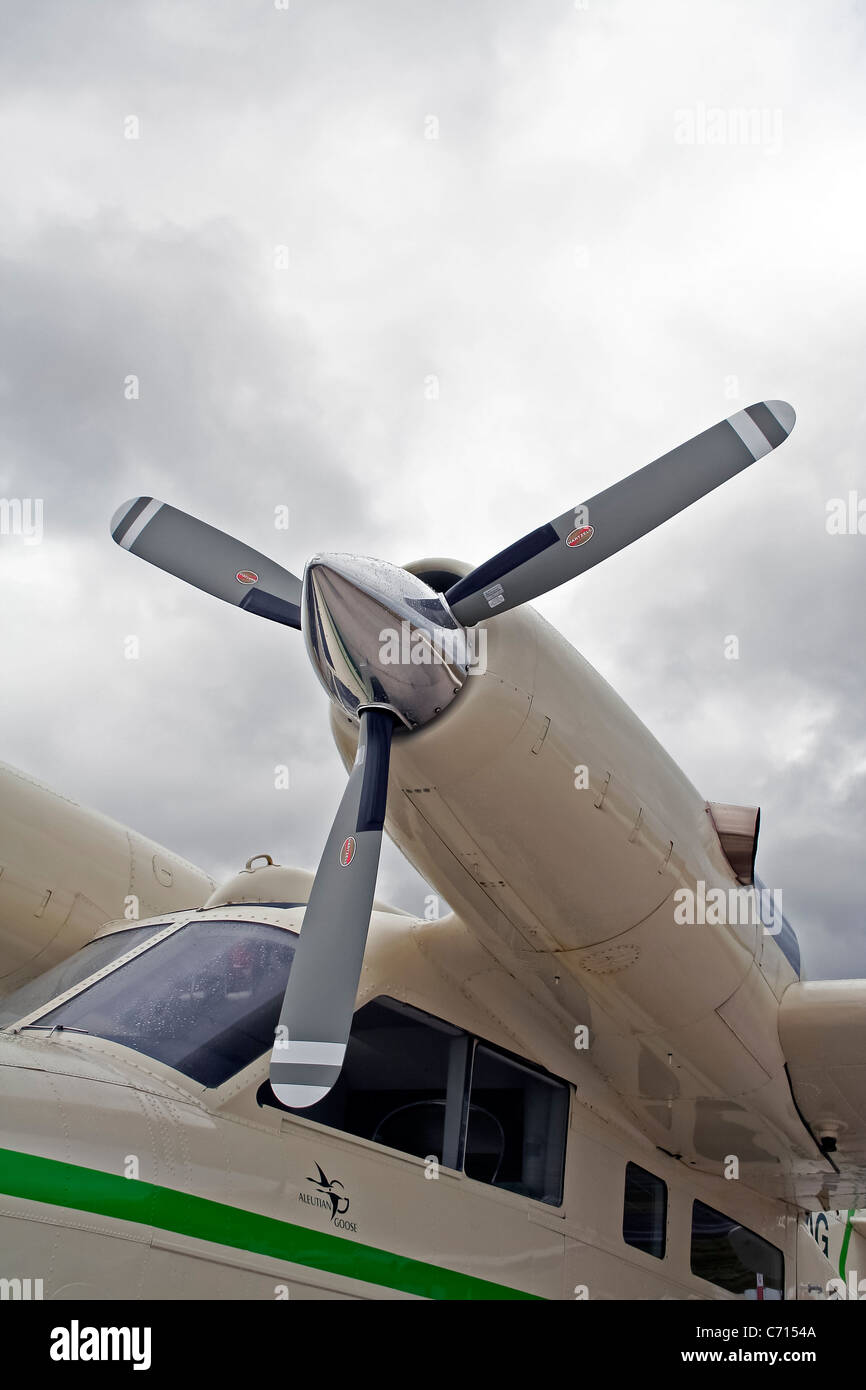Grumman G21G Turbo Goose N221AG at the Farnborough International Airshow Stock Photo Alamy