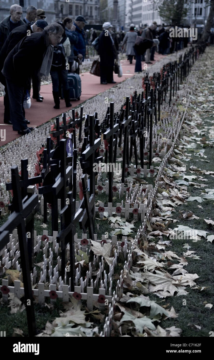 People pay their respects to fallen soldiers during remembrance day, London, UK Stock Photo