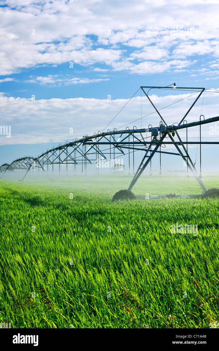 Irrigation Line Stock Photos & Irrigation Line Stock Images Alamy