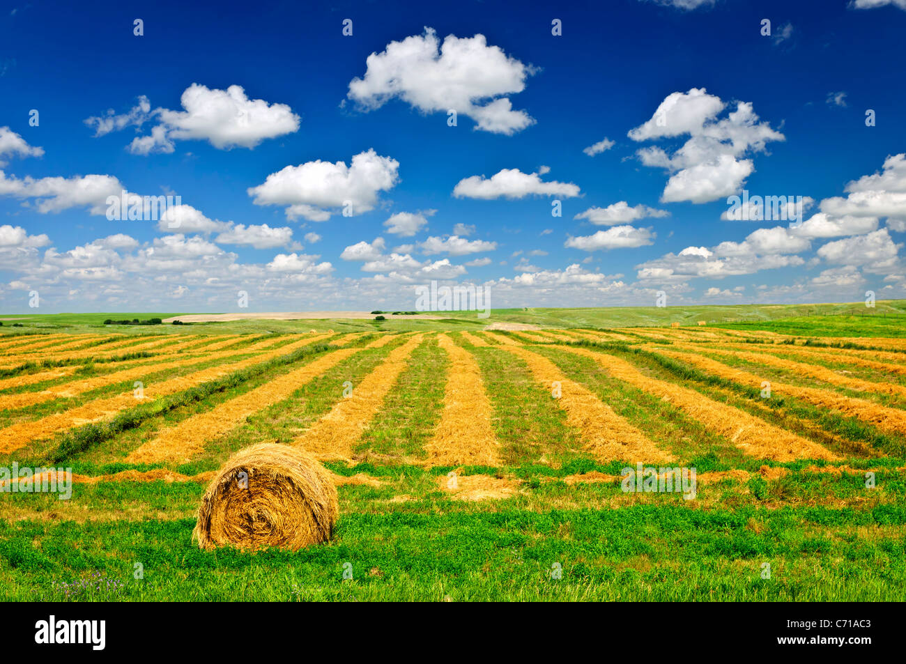 Harvested wheat on farm field with hay bale in Saskatchewan, Canada Stock Photo