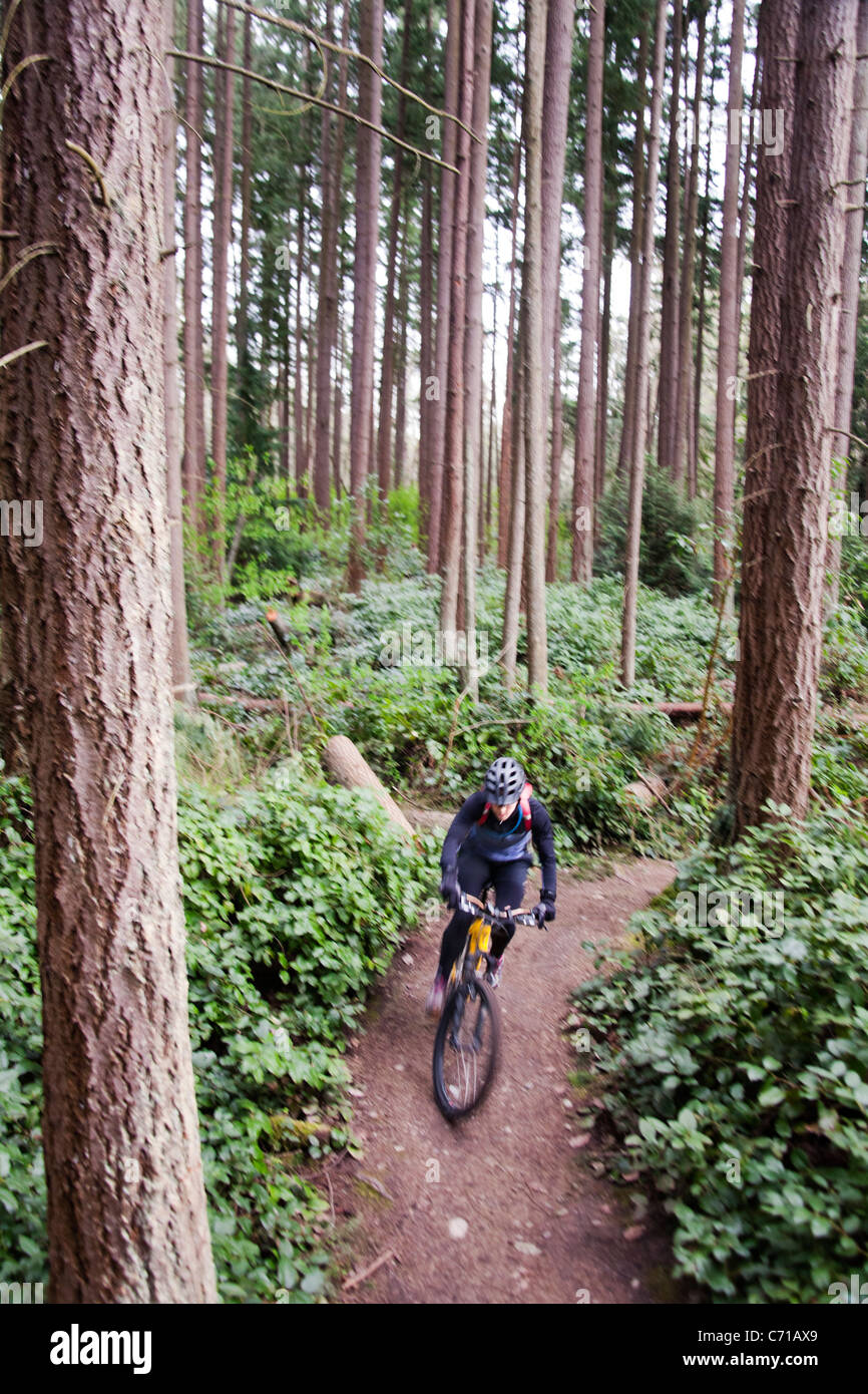 single track mountain bike trails