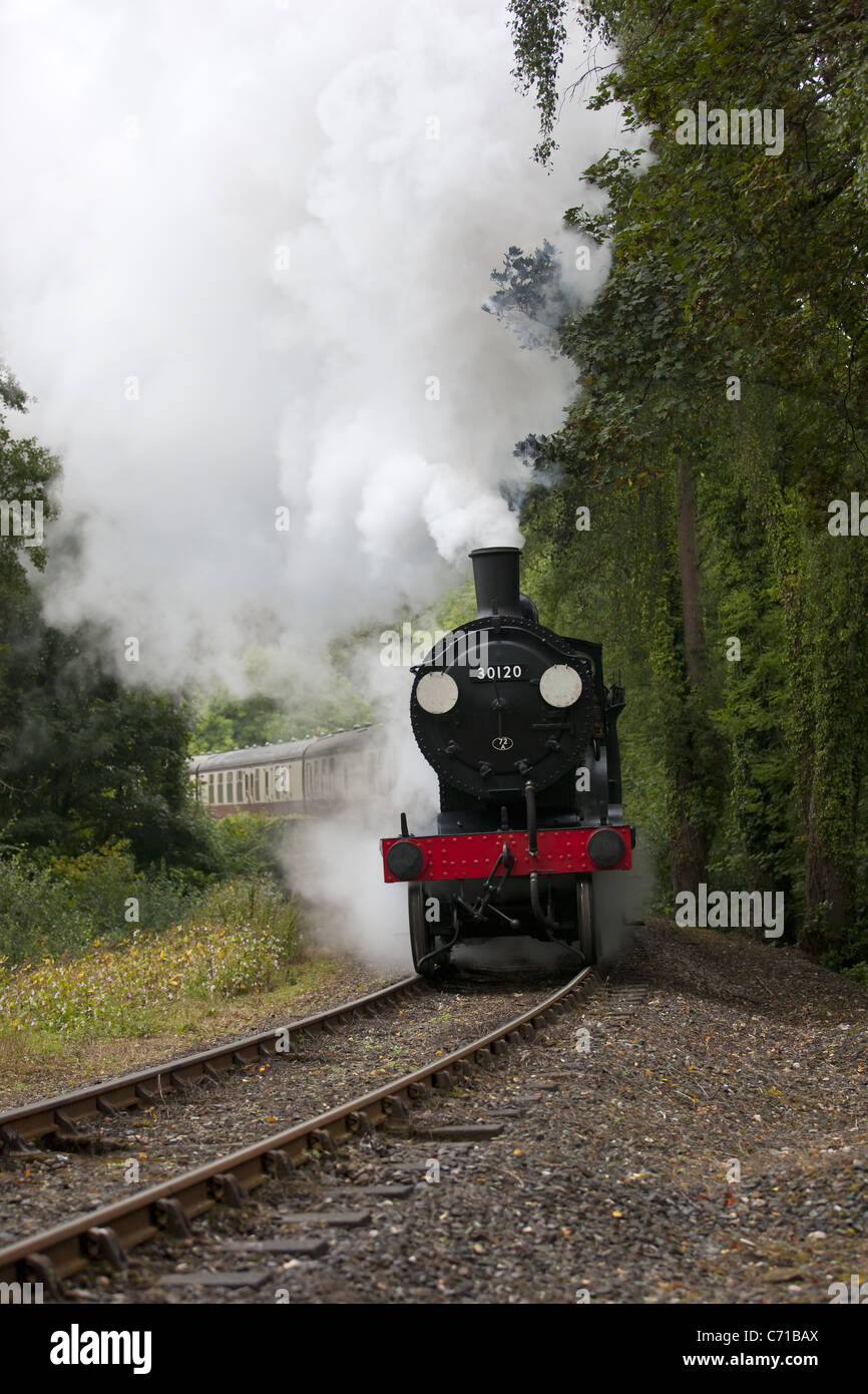 Cornish Branch Line Steam Stock Photo