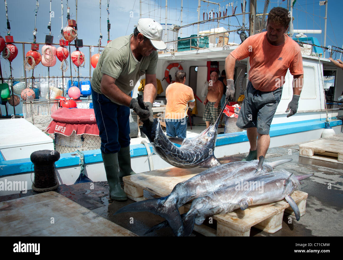 Fishermen unloading swordfish from boat, Garrucha, Spain Stock Photo