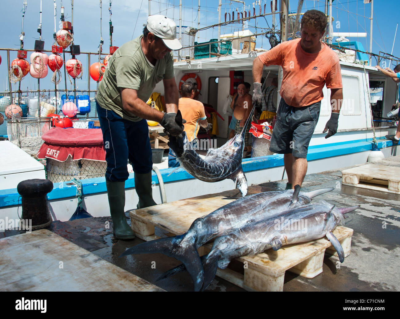 Fishermen unloading swordfish from boat, Garrucha, Spain Stock Photo