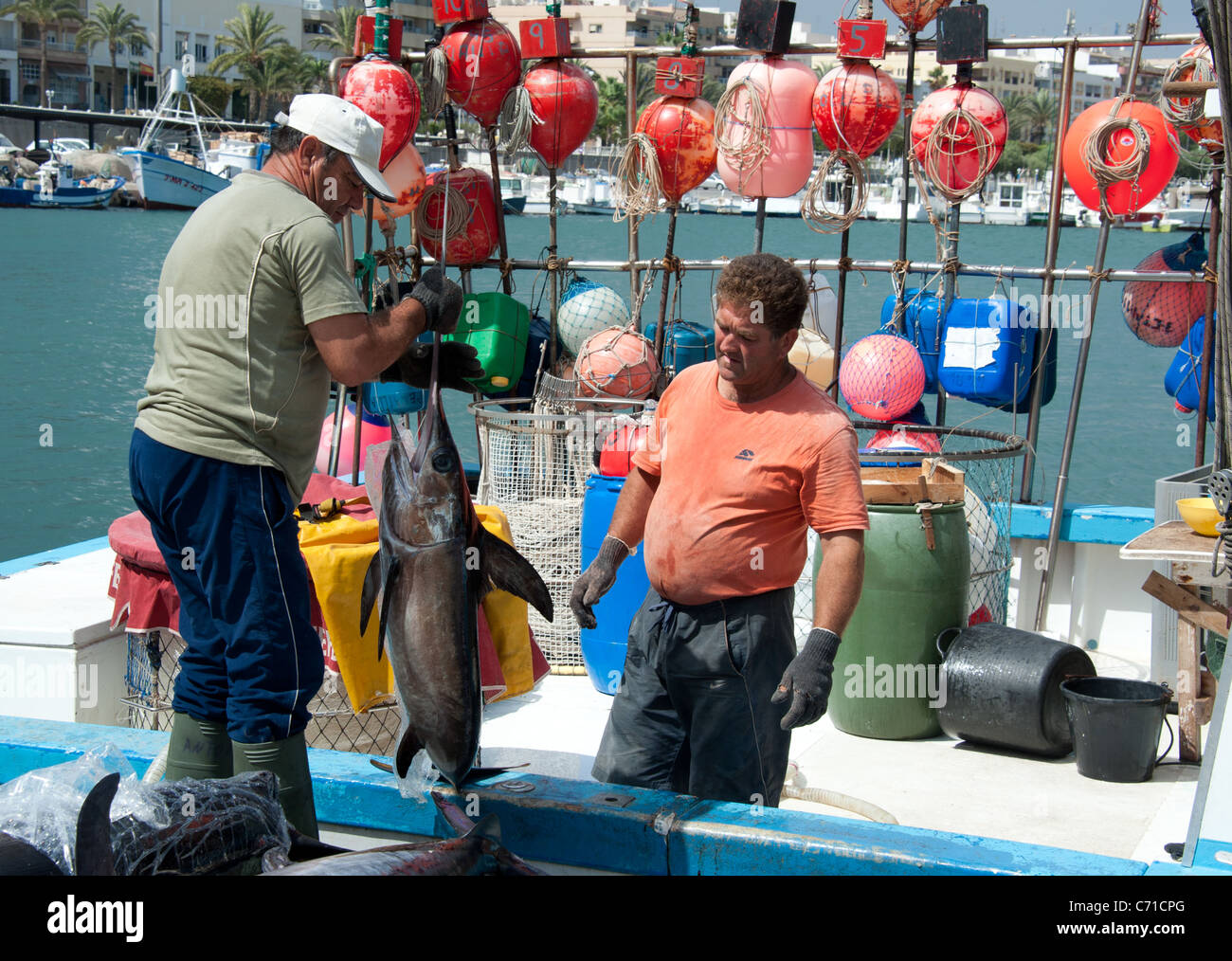 Fishermen unloading swordfish from boat, Garrucha,Almeria ,Spain Stock Photo