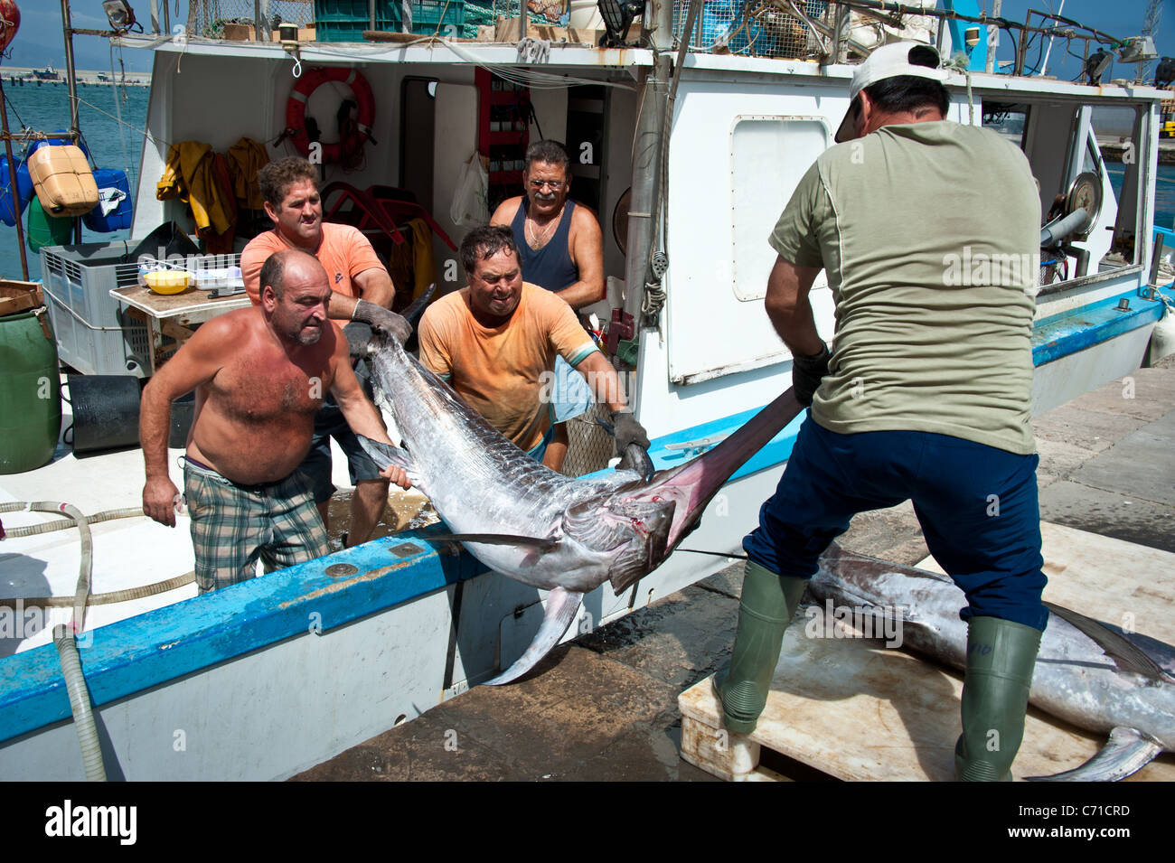 Fishermen unloading swordfish from boat, Garrucha, Almeria,Spain Stock Photo