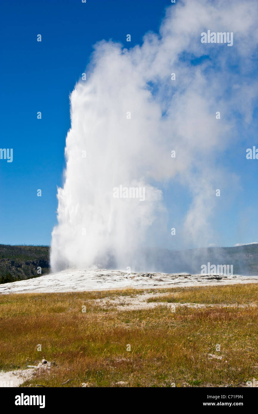 Old Faithful is a cone geyser located in Yellowstone National Park in Wyoming. Stock Photo
