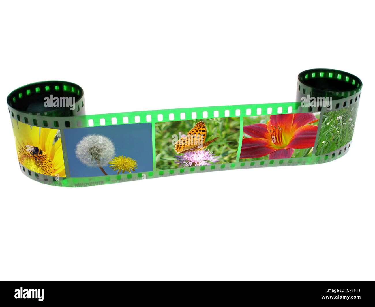 filmstrip with shots of nature Stock Photo