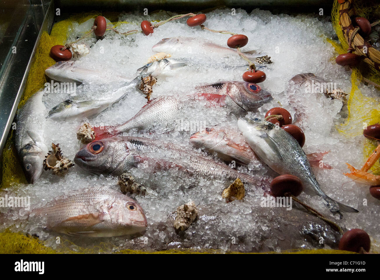 Fish in chiller cabinet with ice Stock Photo