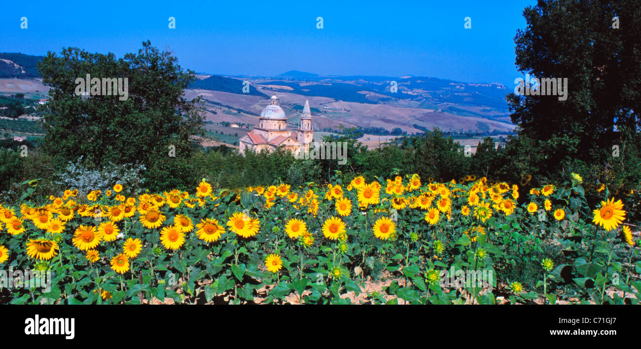 Sanctuary of the Madonna di San Biagio and Field of Sunflowers ...