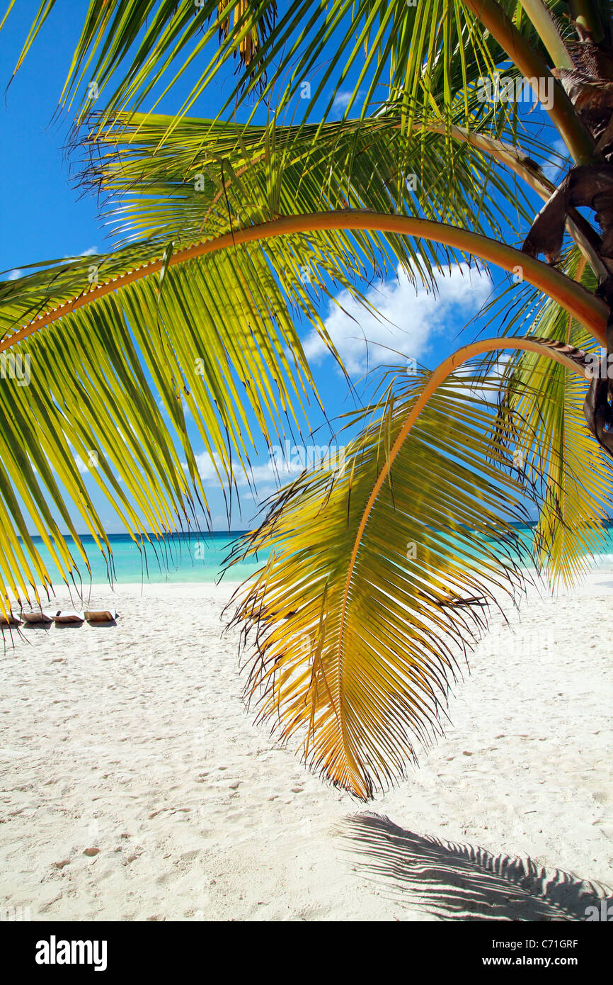 Tropical island palms beach chair hi-res stock photography and images ...