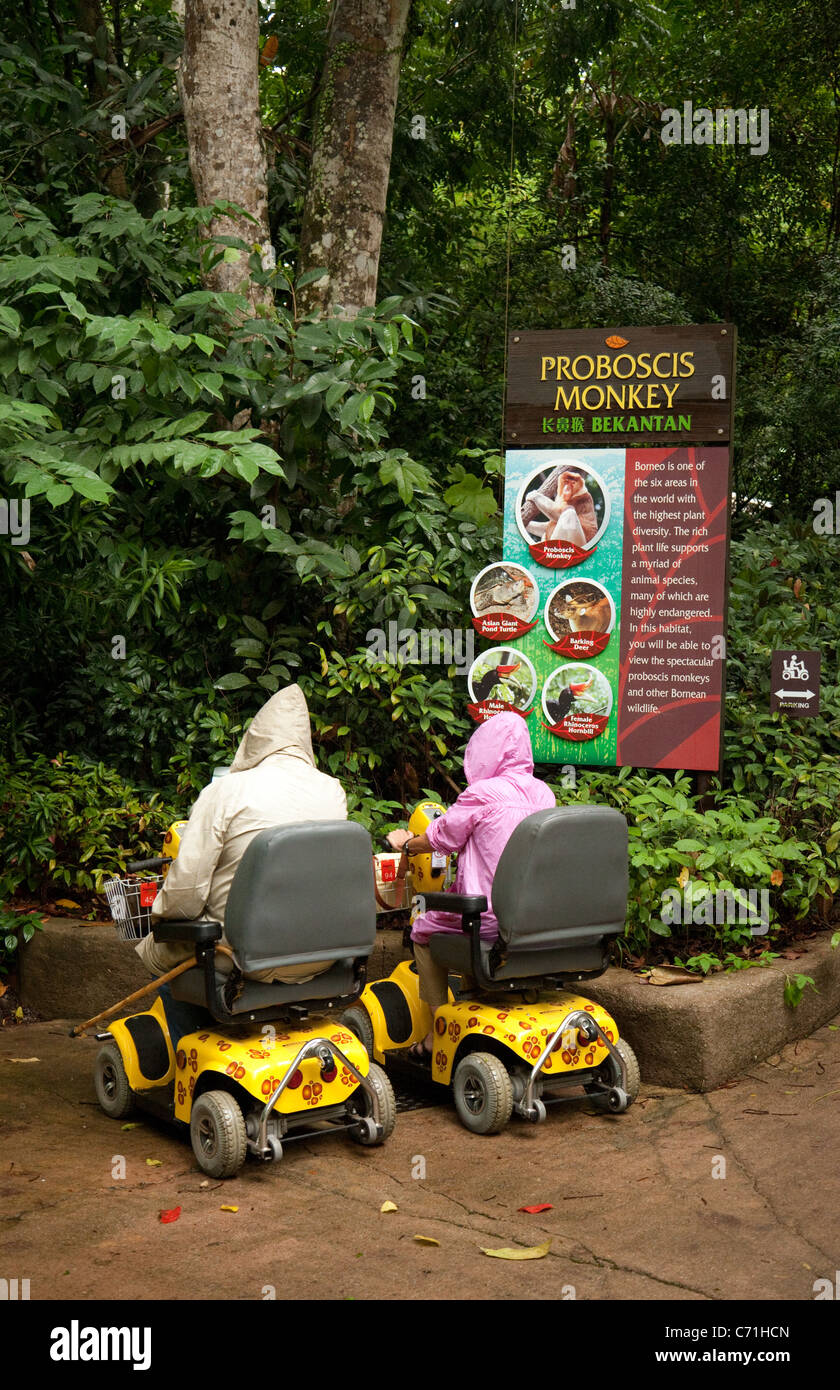 Two people riding in disability scooters provided by Singapore Zoo