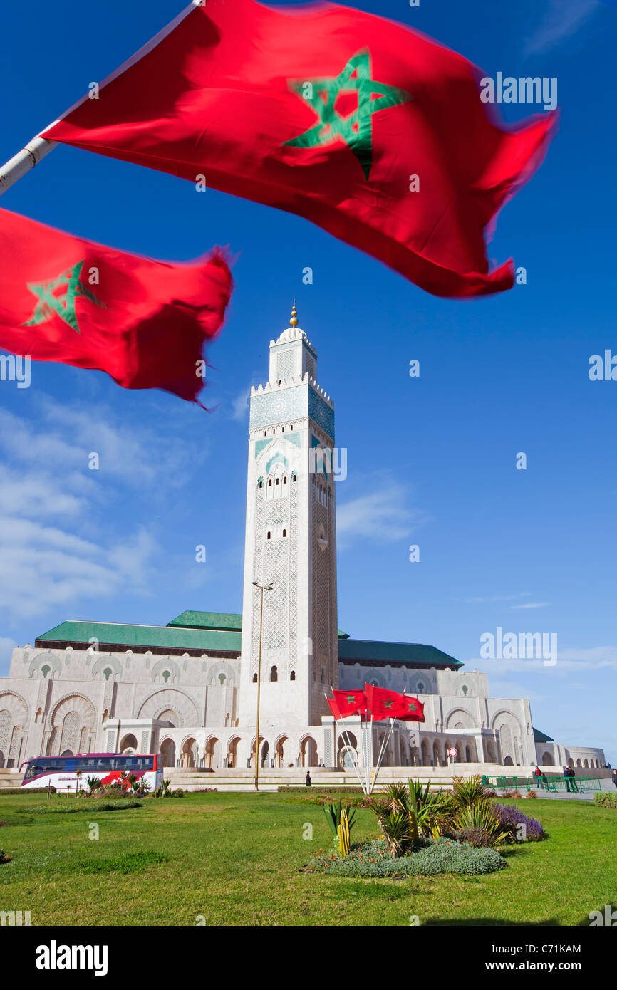 Flags of Morocco, and Hassan II Mosque, Casablanca, Morocco, North Africa Stock Photo