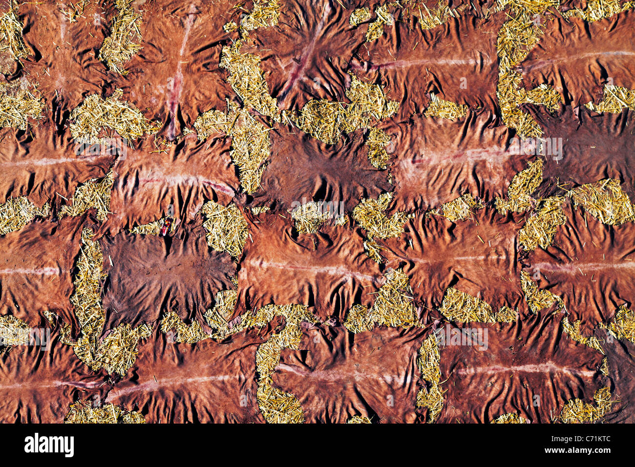Animal skins africa hi-res stock photography and images - Alamy